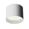 Потолочный светильник Глэм / Glam 1*GX53 12 Вт Technical c096cl-gx53-w