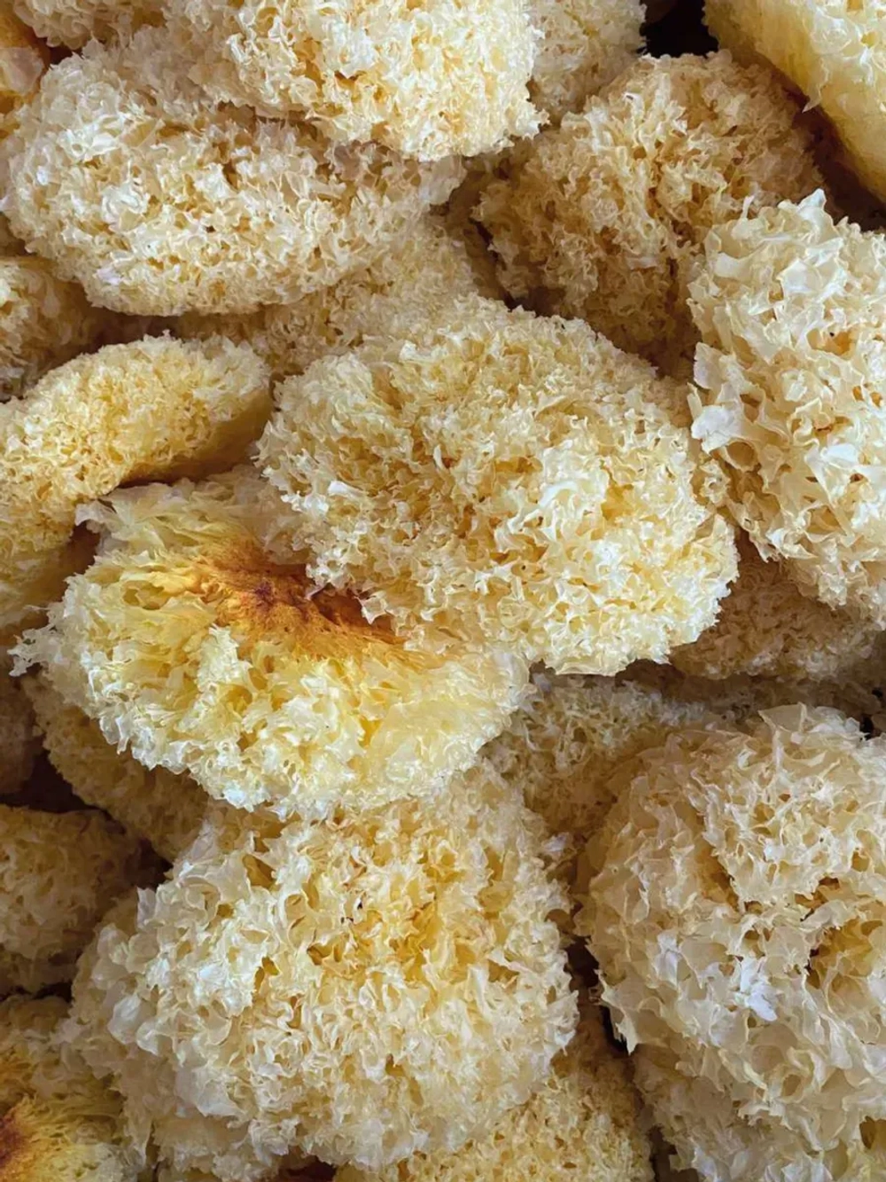 Древесный гриб коралловый Тремелла 300 г