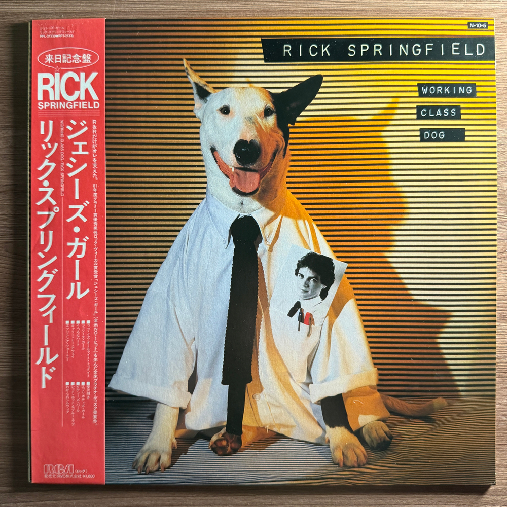 Rick Springfield ‎– Working Class Dog (Япония 1984г.)