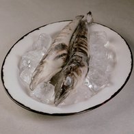 Ледяная с/м