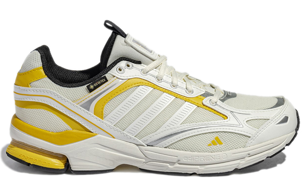 Кроссовки Adidas Spiritain 2000 Gore-Tex