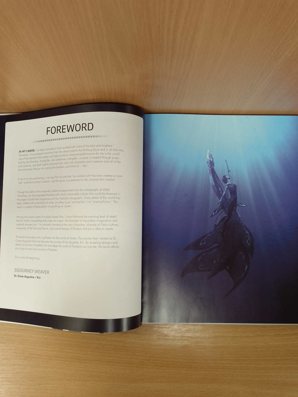 Avatar The Way of Water The Visual Dictionary