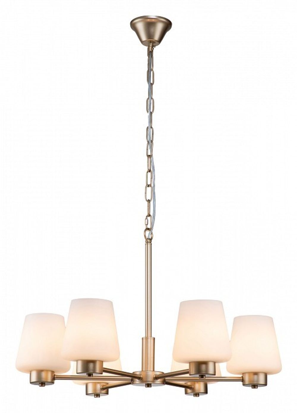 Подвесная люстра Indigo Tulip 13004/6P Gold