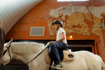 Horse Party