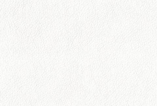 Искусственная кожа Ecotex (Экотекс) 3002 белый