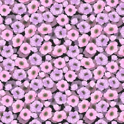 Розовые и сиреневые анемоны на черном фоне