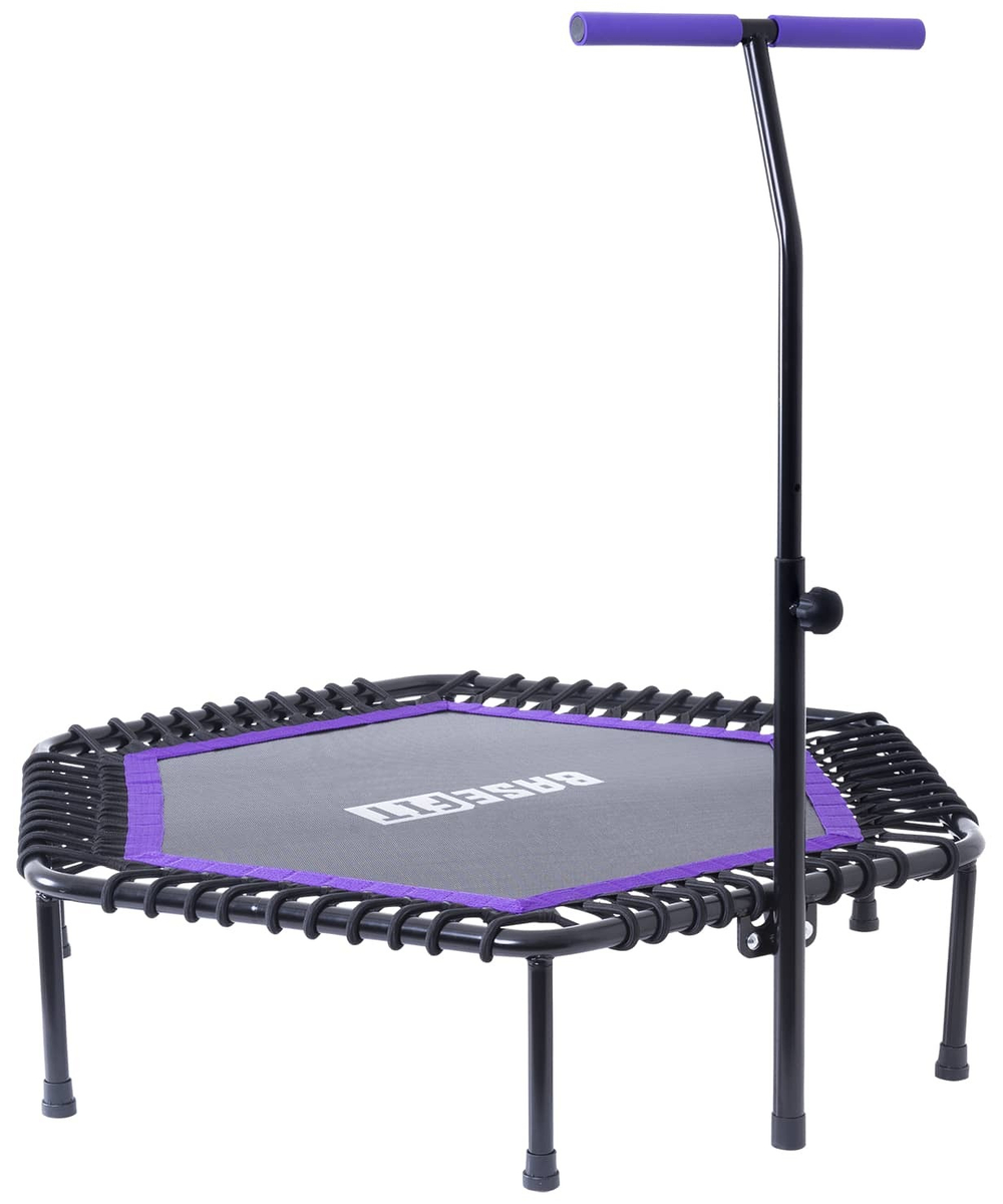 УЦЕНКА Батут TR-401 101 см с держателем, фиолетовый