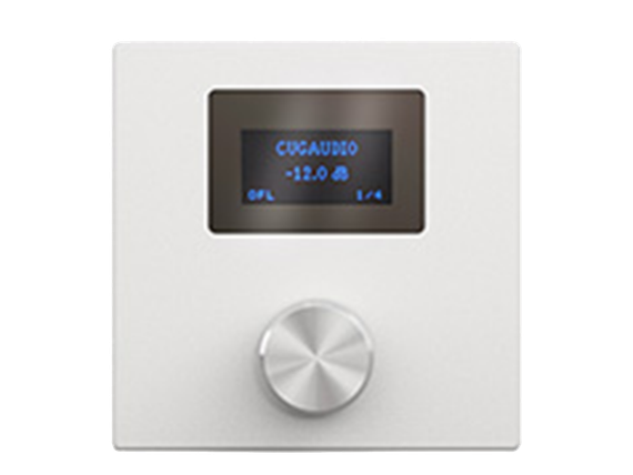 CVGAUDIO P-ZONER-W/IP/A настенная программируемая панель управления