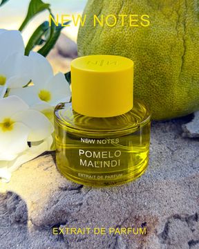 New Notes Pomelo Malindi