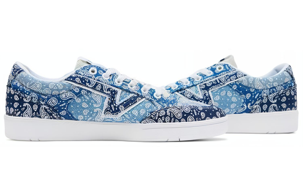 Vans Lowland Cc