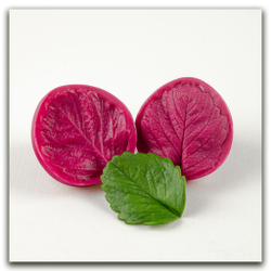 силиконовый молд земляники