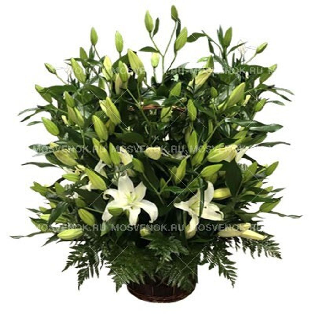 Ритуальная корзина из живых цветов белых лилий и зелени