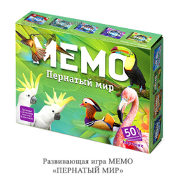 Развивающая игра МЕМО «ПЕРНАТЫЙ МИР»