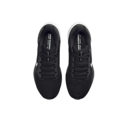 Женские кроссовки Nike Air Zoom Pegasus 41 'Black White' FD2723-002