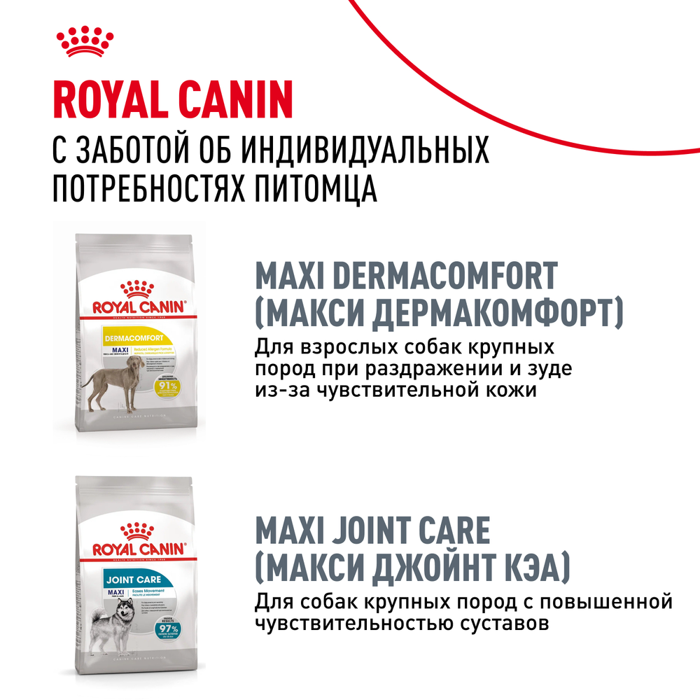 Royal Canin Maxi Digestive Care Макси Дайджестив кэа Корм сухой для взрослых собак больших размеров с чувствительным пищеварением 12кг