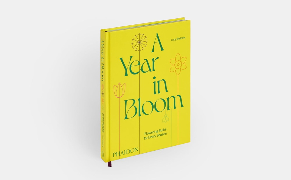 A Year in Bloom: Flowering Bulbs for Every Season