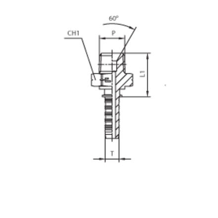 Фитинг DN 20 NPTF 1