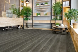SPC ламинат Alpine Floor Гранд Секвойя Каддо