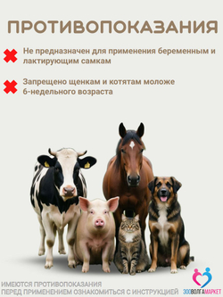 Мелоксикам раствор для инъекций 0,2%, обезболивающие и жаропонижающие для кошек и собак (Apicenna),10мл Мелоксикам