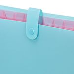 Папка-органайзер на кнопке 12 отделений, BRAUBERG "Extra", А4, голубая с розовым, 271932