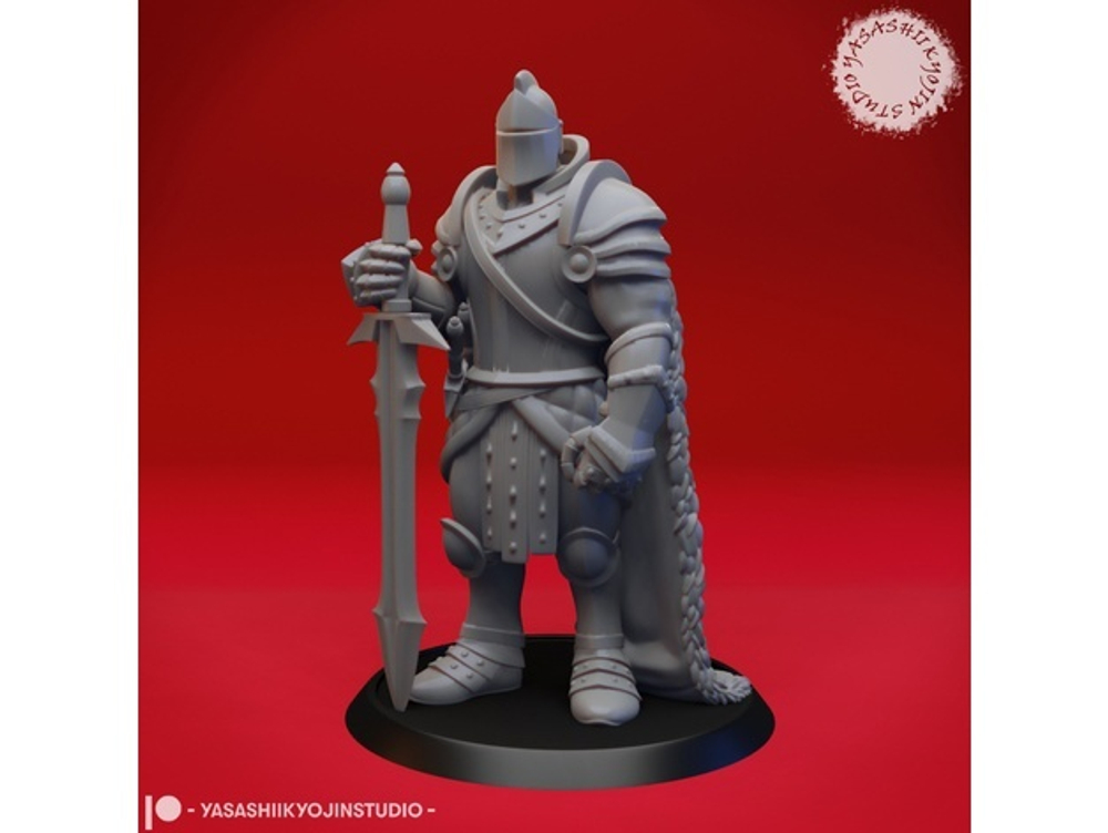 Armored Fighter / Knight