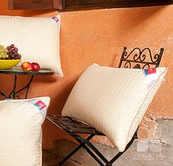 Подушка пуховая Мечта  пух 2 категории Легкие Сны