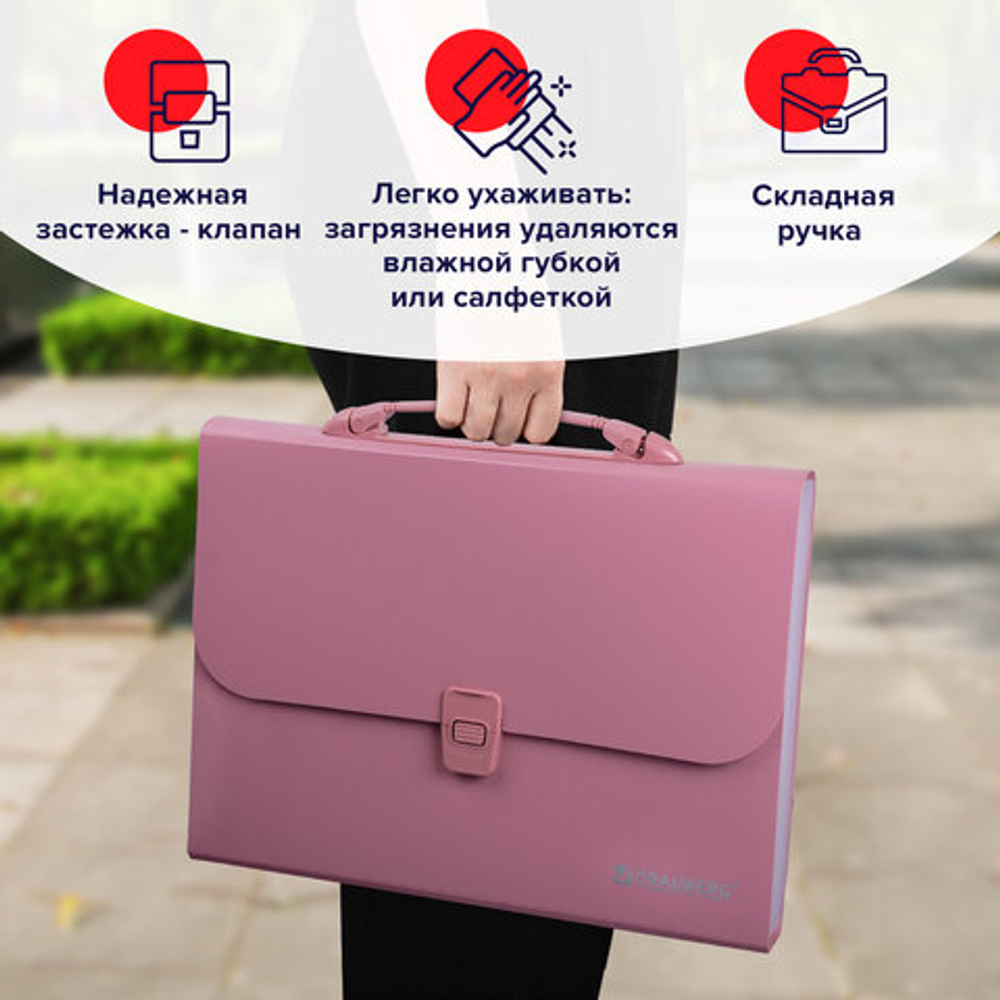 Папка-портфель пласт. BRAUBERG А4 (327х254х30мм), 13 отделений, розовый, 221441