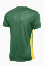 Футболка Nike Dri-FIT Park Derby IV