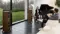 Martin Logan Foundation F2 Gloss Black