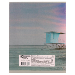 Тетрадь школьная А5 48л. клетка офсет №1 (обложка картон) в ассорт. (КПК)