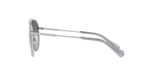 Солнцезащитные очки SK7005 Swarovski - серебряный(SK7005)