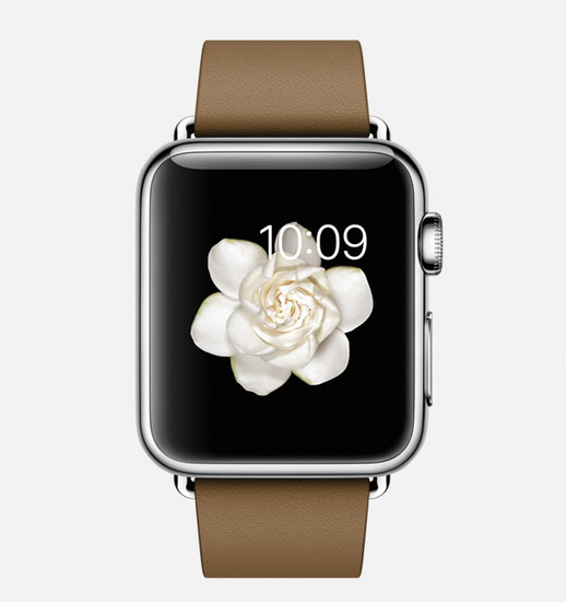 Часы смарт Apple Watch 38мм (коричневый кожаный с современной пряжкой)