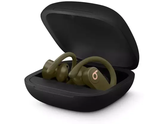 Беспроводные наушники Beats Powerbeats Pro Moss