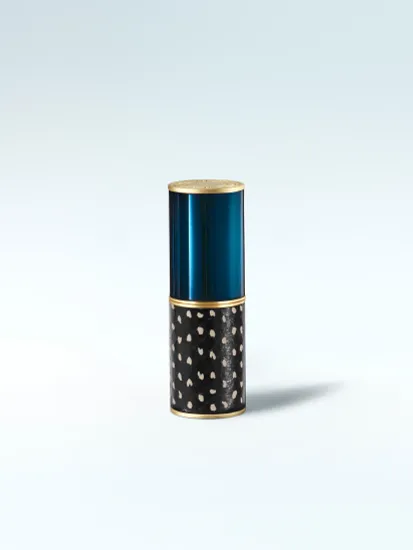 Помада Dries Van Noten с кейсом