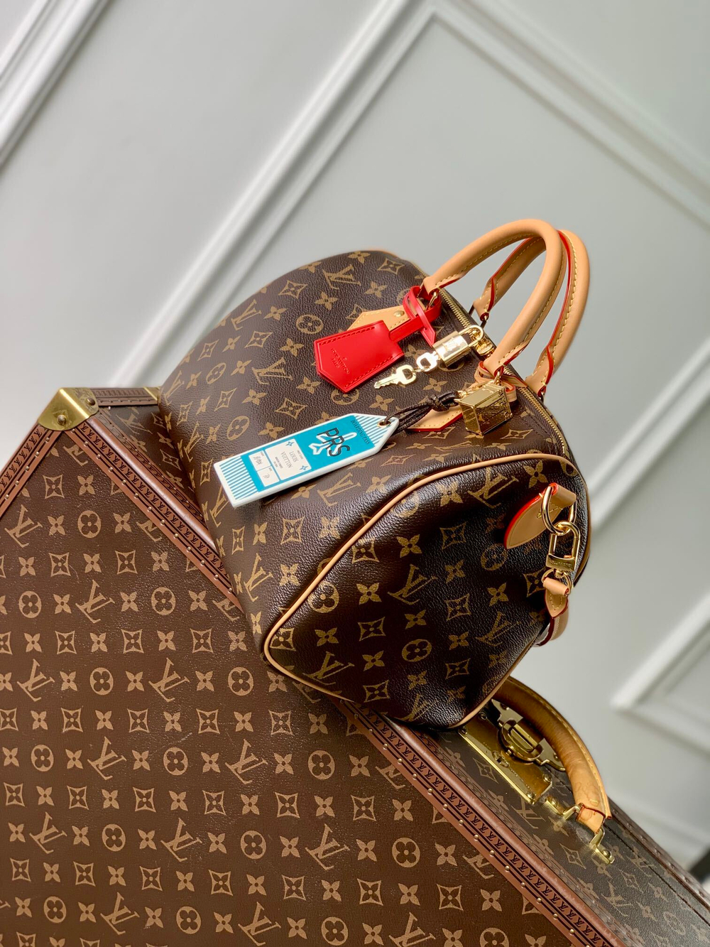 Louis Vuitton Speedy Soft 30 Crafty