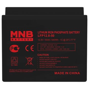 Аккумулятор MNB Литий-железо-фосфатный (LiFePO4 с BMS) LFP 12,8-50