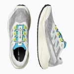 Кроссовки для бега Salomon Aero Blaze 3 GRVL vanilla ice/ojos del salar/black