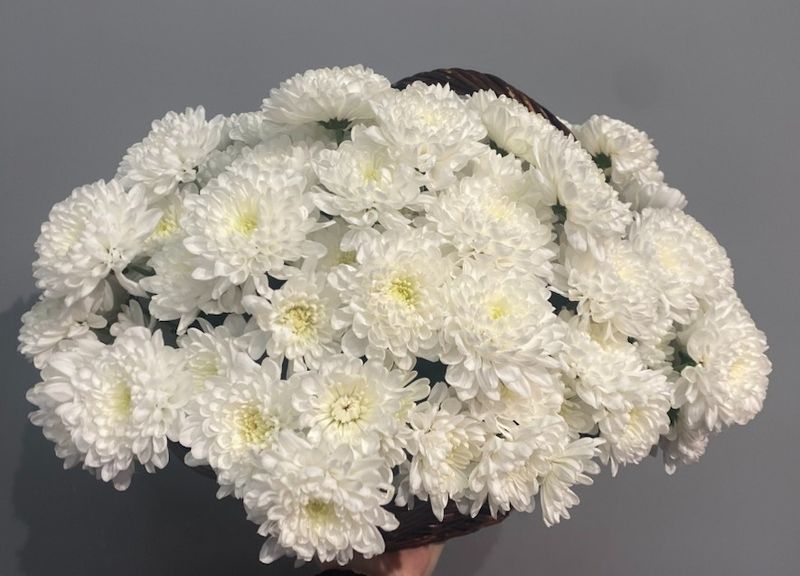 Корзина "Белые ночи"