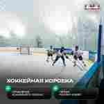Ангар пневмокаркасный для спорта и мероприятий «Старт» 50х20х15 м — из ПВХ, зелёный, с окнами
