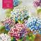 Pazl / Пазлы /Puzzles Adult Jigsaw Puzzle Nel Whatmore: A Million Shades