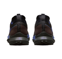Мужские кроссовки Nike Pegasus Trail 4 Gore-tex 'Brown Black Blue' FB2193-200