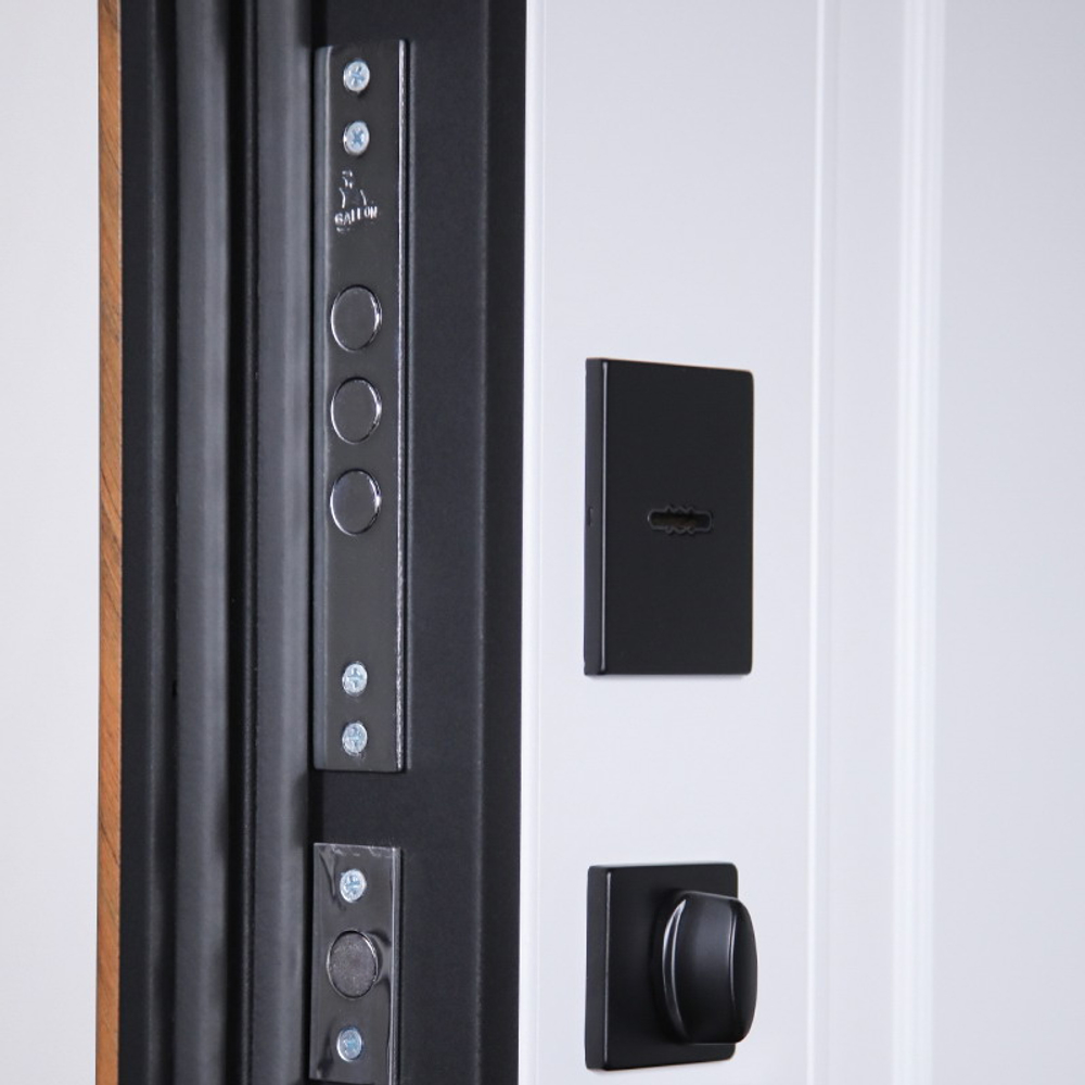 Стальная дверь "Plata"