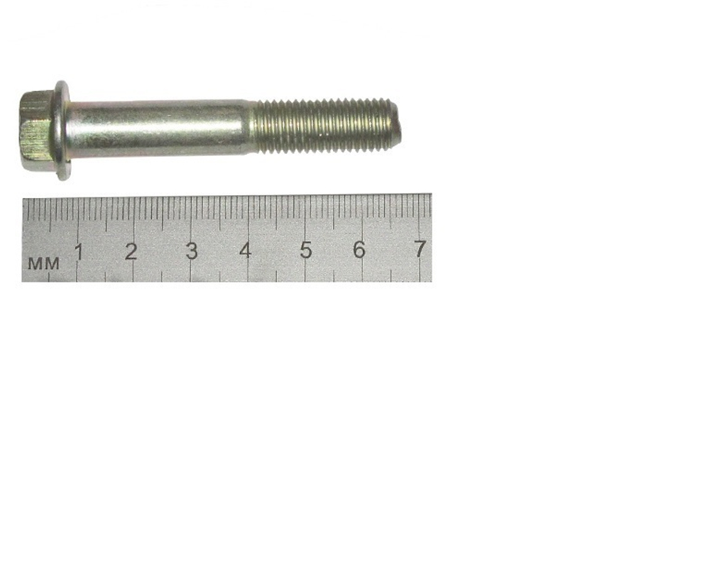 Болт кронштейна натяжителя ремня 1118 (М10х1,25х58)