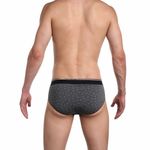 Мужские трусы брифы серые Tuosite TS7826-2