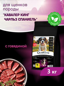 Корм сухой для щенков породы Кавалер кинг чарльз спаниель, с говядиной, 3 кг, QUATTRO