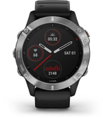 Умные часы Garmin Fenix 6, серебристый/черный