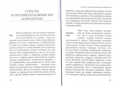 Беседы о страстях. Священник Даниил Сысоев