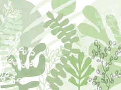 Коллекция MATISSE