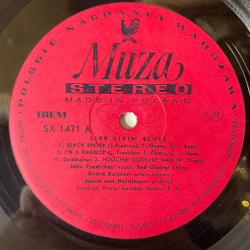 Винтажная виниловая пластинка LP Livin Blues Live (Польша 1977)