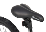 Maxiscoo 5BIKE 20'' L200 (2025)